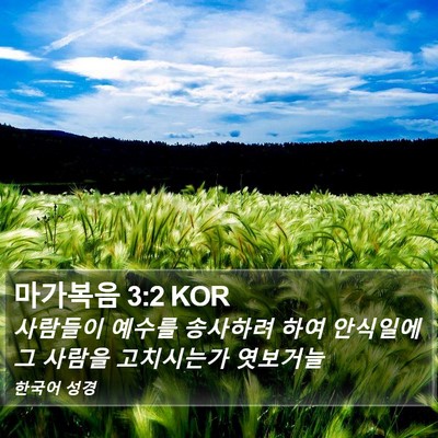 마가복음 3:2 KOR Bible Verse Image