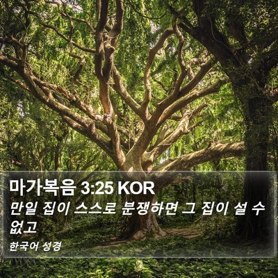 마가복음 3:25 KOR Bible Verse Image