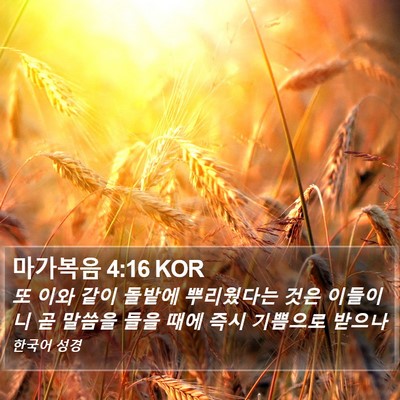 마가복음 4:16 KOR Bible Verse Image