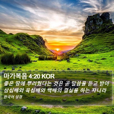 마가복음 4:20 KOR Bible Verse Image