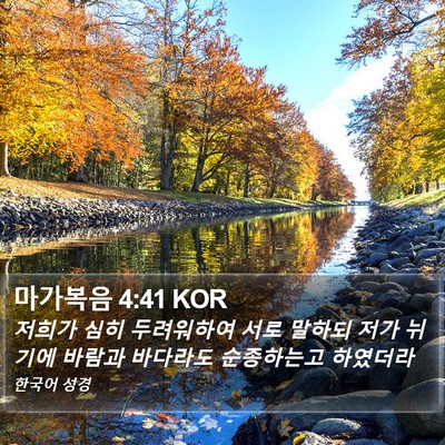 마가복음 4:41 KOR Bible Verse Image