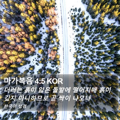 마가복음 4:5 KOR Bible Verse Image