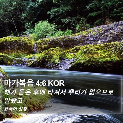 마가복음 4:6 KOR Bible Verse Image