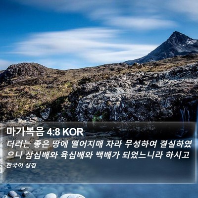 마가복음 4:8 KOR Bible Verse Image