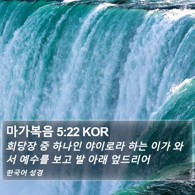 마가복음 5:22 KOR Bible Verse Image
