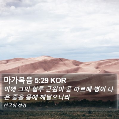마가복음 5:29 KOR Bible Verse Image