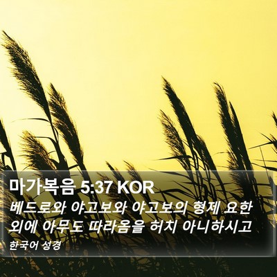 마가복음 5:37 KOR Bible Verse Image