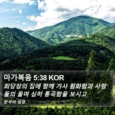마가복음 5:38 KOR Bible Verse Image