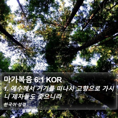 마가복음 6:1 KOR Bible Verse Image