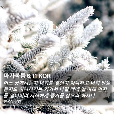마가복음 6:11 KOR Bible Verse Image