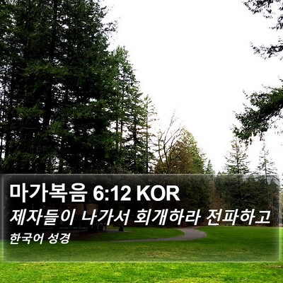 마가복음 6:12 KOR Bible Verse Image