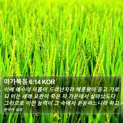 마가복음 6:14 KOR Bible Verse Image