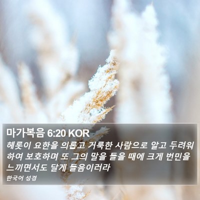 마가복음 6:20 KOR Bible Verse Image