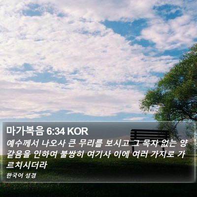 마가복음 6:34 KOR Bible Verse Image