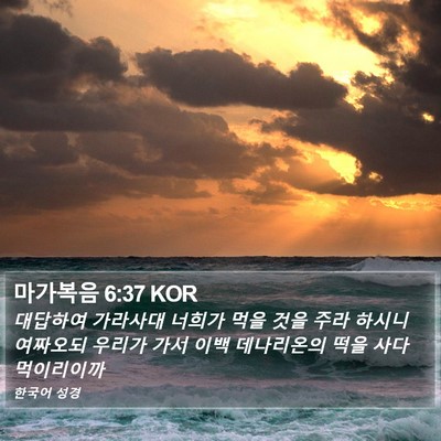 마가복음 6:37 KOR Bible Verse Image