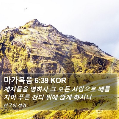 마가복음 6:39 KOR Bible Verse Image
