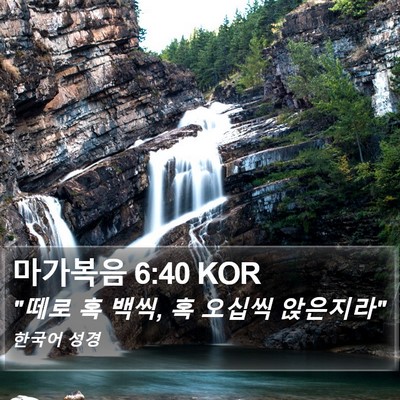 마가복음 6:40 KOR Bible Verse Image