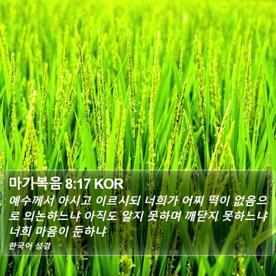 마가복음 8:17 KOR Bible Verse Image
