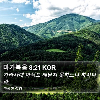 마가복음 8:21 KOR Bible Verse Image