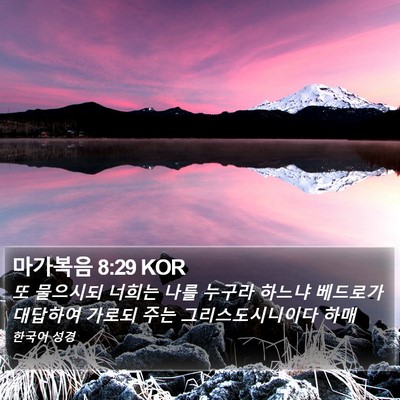 마가복음 8:29 KOR Bible Verse Image