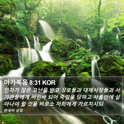마가복음 8:31 KOR Bible Verse Image