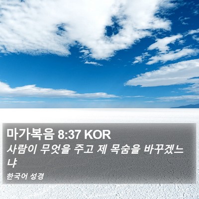마가복음 8:37 KOR Bible Verse Image