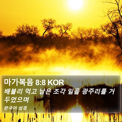 마가복음 8:8 KOR Bible Verse Image