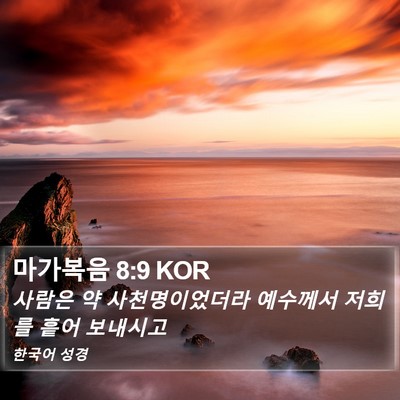 마가복음 8:9 KOR Bible Verse Image