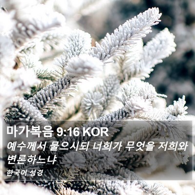 마가복음 9:16 KOR Bible Verse Image