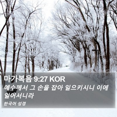 마가복음 9:27 KOR Bible Verse Image