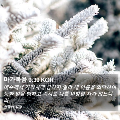 마가복음 9:39 KOR Bible Verse Image