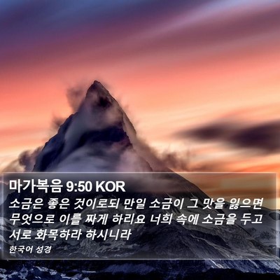 마가복음 9:50 KOR Bible Verse Image