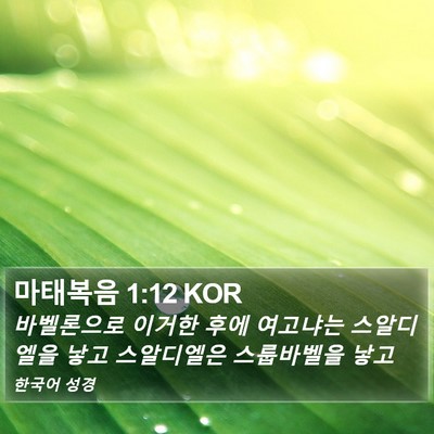 마태복음 1:12 KOR Bible Verse Image
