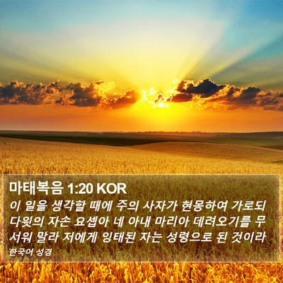마태복음 1:20 KOR Bible Verse Image
