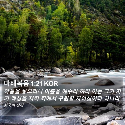 마태복음 1:21 KOR Bible Verse Image