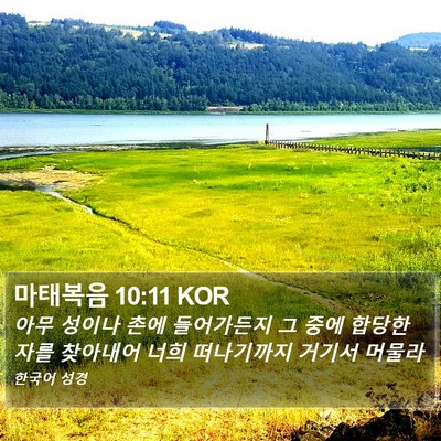 마태복음 10:11 KOR Bible Verse Image