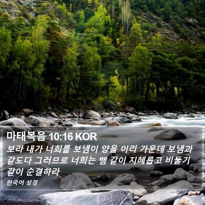 마태복음 10:16 KOR Bible Verse Image