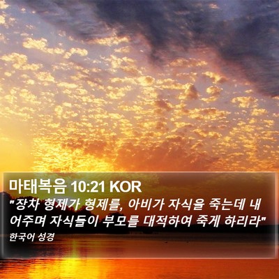 마태복음 10:21 KOR Bible Verse Image