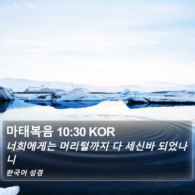 마태복음 10:30 KOR Bible Verse Image