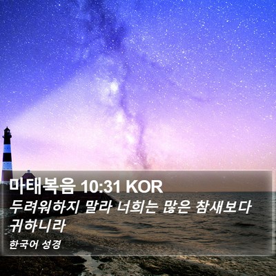 마태복음 10:31 KOR Bible Verse Image
