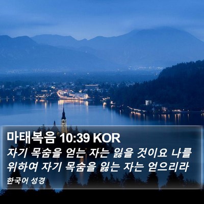마태복음 10:39 KOR Bible Verse Image