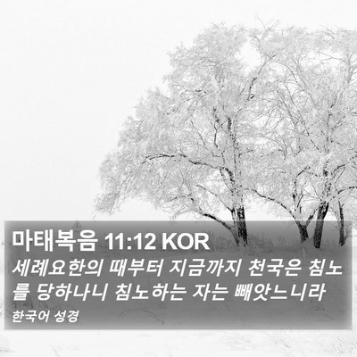 마태복음 11:12 KOR Bible Verse Image