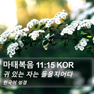 마태복음 11:15 KOR Bible Verse Image