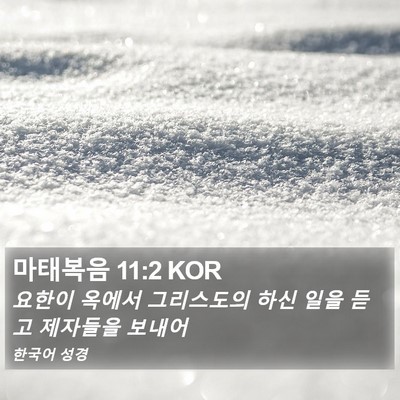 마태복음 11:2 KOR Bible Verse Image