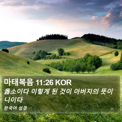 마태복음 11:26 KOR Bible Verse Image