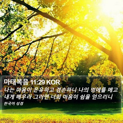 마태복음 11:29 KOR Bible Verse Image