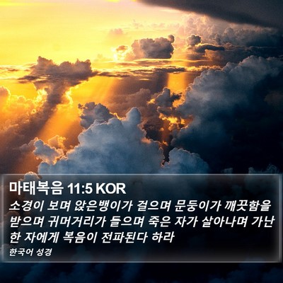 마태복음 11:5 KOR Bible Verse Image