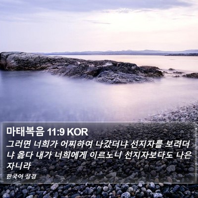 마태복음 11:9 KOR Bible Verse Image