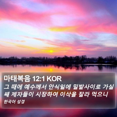 마태복음 12:1 KOR Bible Verse Image