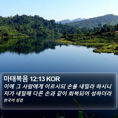 마태복음 12:13 KOR Bible Verse Image